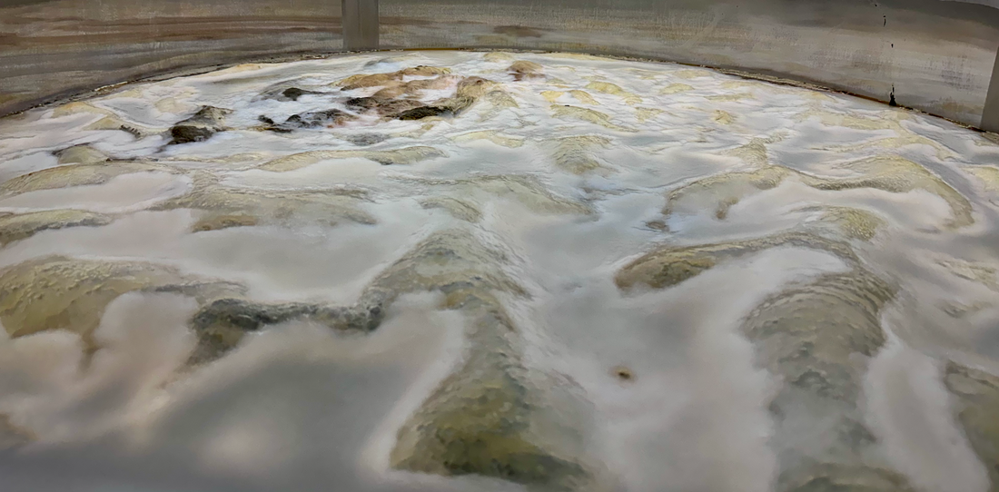 Where Does All the Sugar Go in Kombucha?