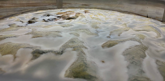 Where Does All the Sugar Go in Kombucha?