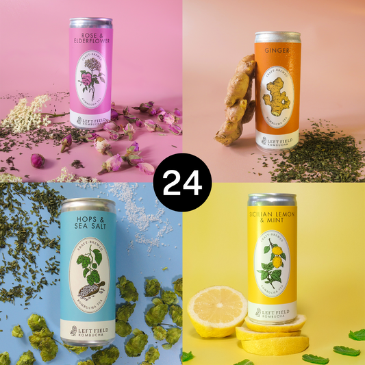 The Flavoured Mixed Case (24 Cans)
