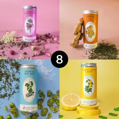 The Flavoured Taster Pack (8 Cans)